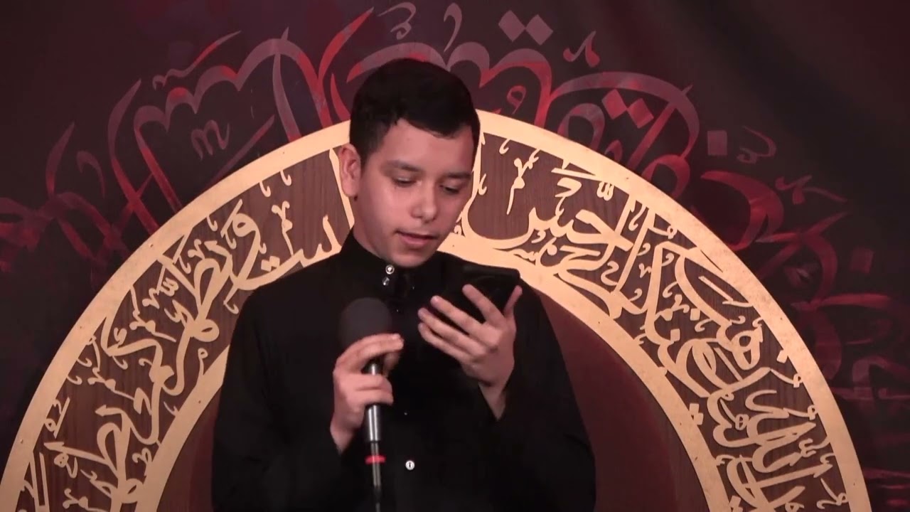 الرادود محمد القاسم ( النجف العظيم )