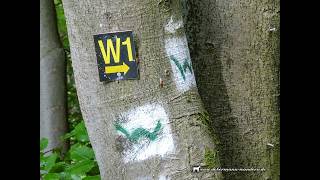 Unterwegs Mit Und Ohne Hund Westerwaldsteig Erlebnisschleife Katzenschleif