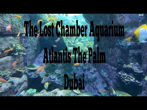 Atlantis The Palm Dubai & The Lost Chambers Aquarium