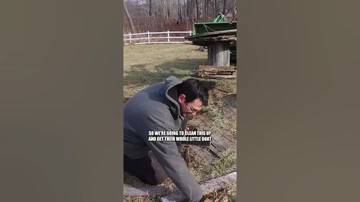 Not a great long term goat toy