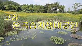 걷기좋은길 고창 운곡습지생태공원