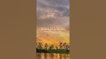 الحج أشهر معلومات قراءة مريحة من سورة البقرة بصوت القارئ ياسر الدوسري