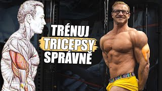 CVIČ TRICEPSY SPRÁVNĚ (Tyhle 4 cviky musíš zkusit)