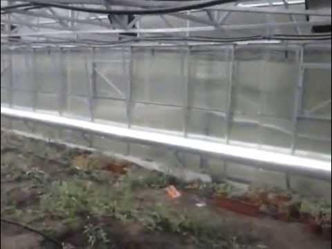 Автоматизированная теплица - YouTube