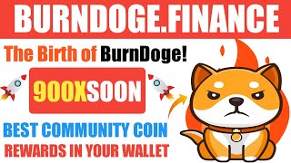 Burndoge Finance Token Full Review | Burndoge Finance Will 900x Soon | Best Gem Crypto Project 2021