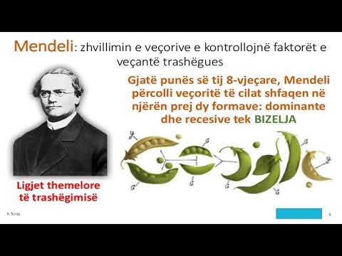 Video: A është heterozigot i njëjtë me hibrid?