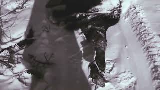 Coras Newfoundland Moose Hunt Dec 30