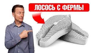 Вред лосося с фермы: обратите внимание на цвет👀