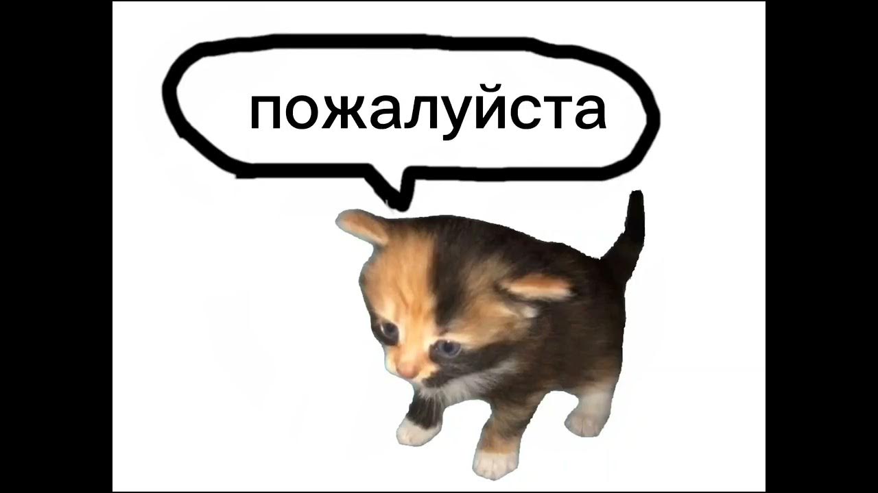 Братик, купи мне пожалуйста... - YouTube