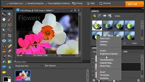 Photoshop Elements 9.0 Tutorial Layer Types Adobe Training Lesson 10.2