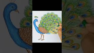 Peacock drawing 🦚🦚🦚🦚🦚🦚✍️✍️✍️✍️💐💐💐🦃🦃...!!! #shorts #shorts #art