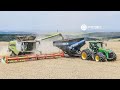 BIG HARVEST 2020 / 4 - 23 Claas Lexion 770 & 780 Combines  & John Deere 8R & Kinze 1051 Grain Carts