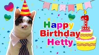 Happy Birthday Cat Hetty!! 1 Year! by Hetty & Percy 19,646 views 6 years ago 2 minutes