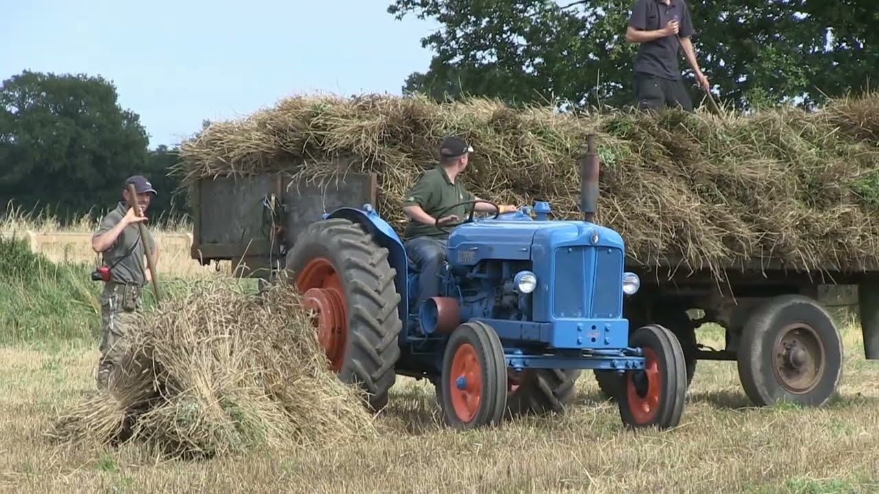 FORDSON DIESEL MAJOR COLLECTING SHEAVES OF WHEAT