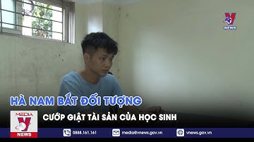 Hà Nam bắt đối tượng cướp giật tài sản của học sinh - VNEWS