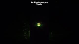 Beautiful Owl Solar Light