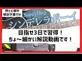 【夏休み企画】初心者向け超解説 シンデレラボーイ アコギ弾き方