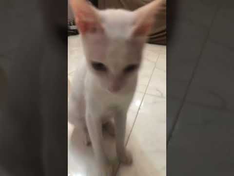 another day (also ignore there's still sounds)