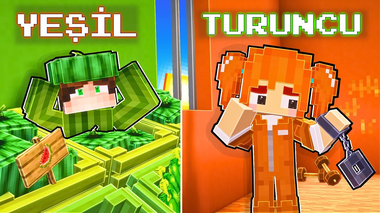 24 SAAT BOYUNCA TEK RENK CHALLENGE | MineGreen Minecraft