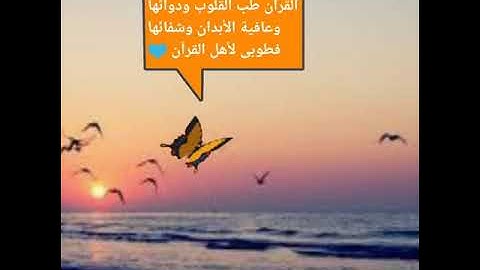 تلاوه من سورة النحل للقارئ محمد الشريف