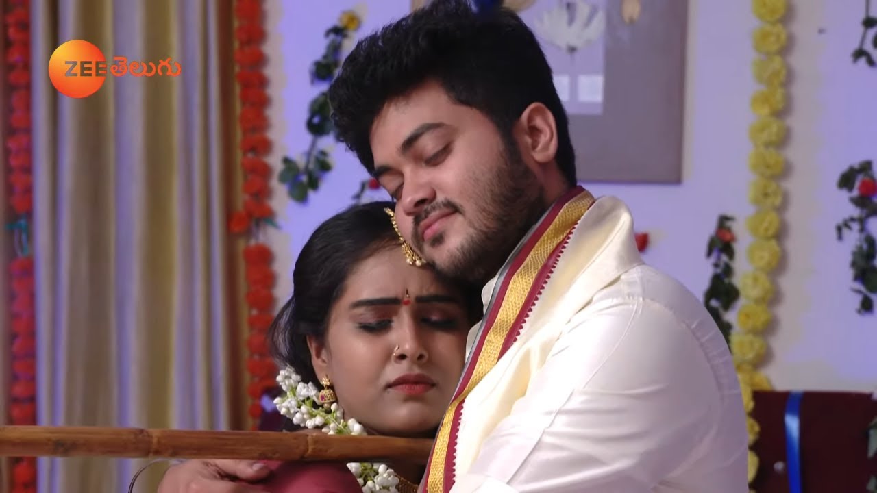 Raktha Sambandham - రక్త సంబంధం - Telugu Serial - EP - 483 - Meghana Lokesh - Zee Telugu