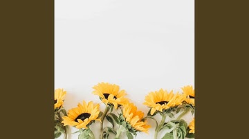 Simplistic Ambiance for Float Tank Sessions