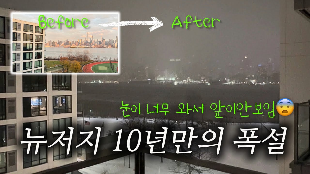 뉴저지 10년 만의 폭설☃️ | 식료품 쟁이러 마트가기 🛒 | 집에서 순살 감자탕만들기🍲