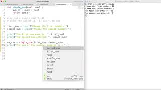 Console input pitfalls: numericals