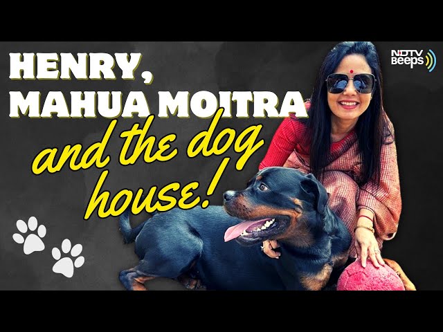 How Henry, The Rottweiler, Put Mahua Moitra In The Dog House 