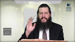 הדף היומי מסכת מנחות דף פב