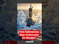 How Submarines Stay Underwater for Months? #Submarine #Ocean #Engineering #Technology #undersea
