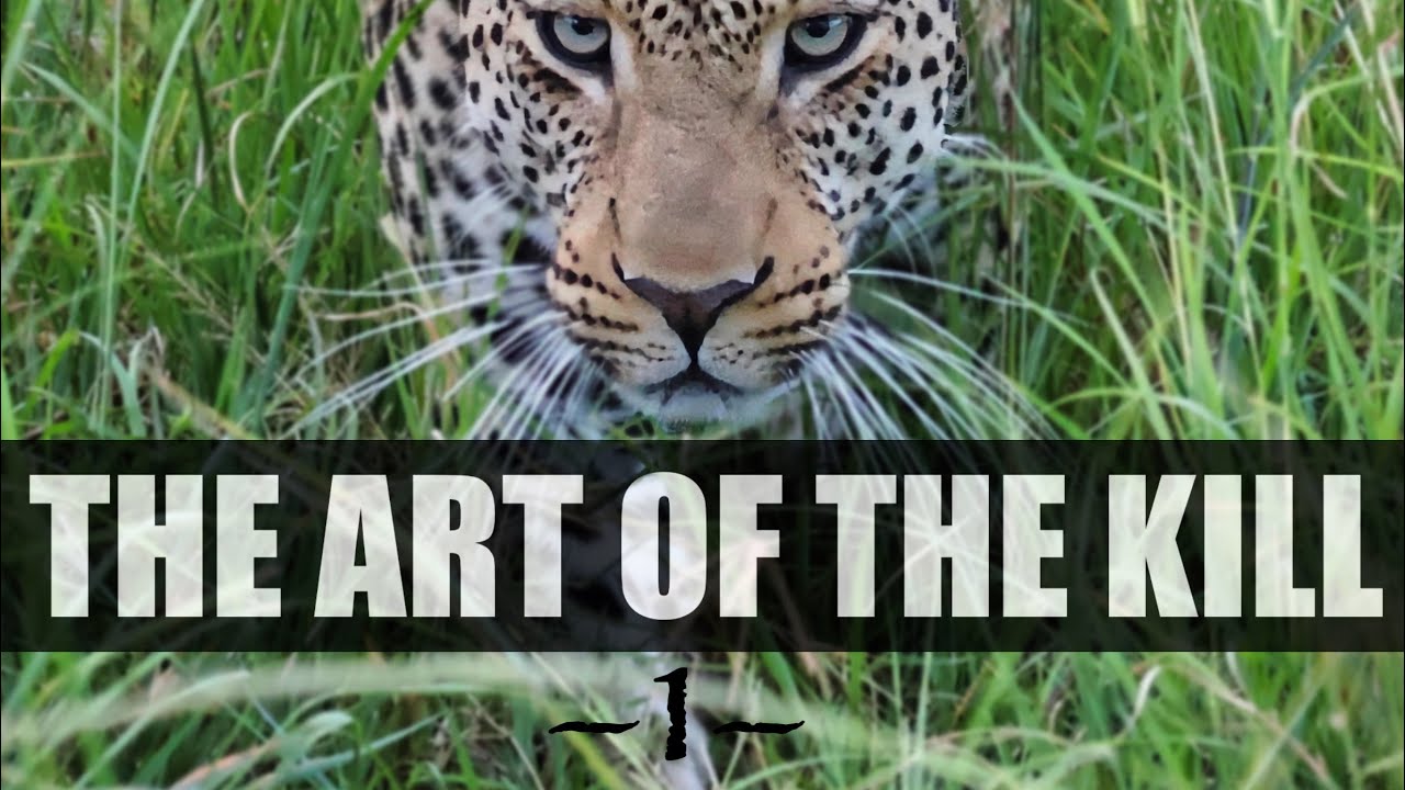 THE ART OF THE KILL - Jäger der Masai Mara - Teil 1 | Die Brinkmanns