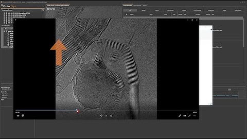 AXON Studio Feature Spotlight - Filtering