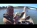 Make Money Catching Catfish On You Tube