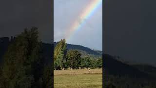 Wo ist mein Goldtopf ? #usa #deutschland #viral