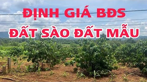 Video 47: Cách định giá bđs đất sào đất mẫu