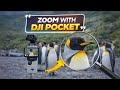 How to Zoom on DJI Pocket 3, Pocket 2 &amp; Pocket 1 | Best Zoom Settings &amp; Quality Test