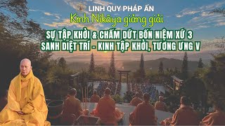 NIKAYA Giảng Giải - Sự Tập Khởi & Chấm Dứt Bốn Niệm Xứ 3 - Quán 5 Thủ Uẩn ( Sắc Sanh Diệt)