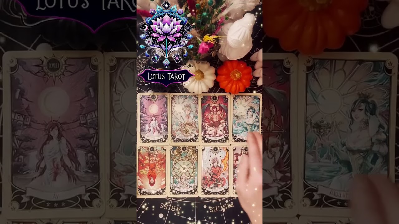 Neler öğrenmen gerekiyor?