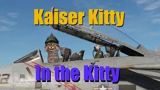 Ralfi's Alley - Kaiser Kitty in the Kitty
