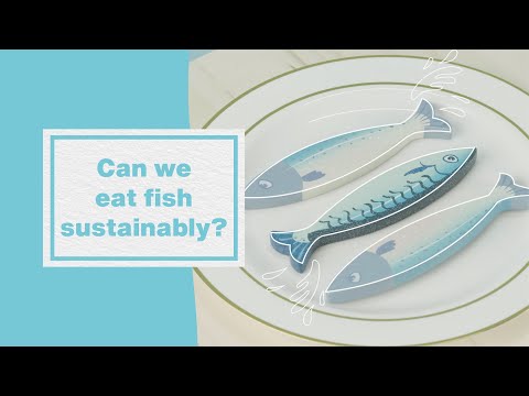 Video: Ar galite etiškai valgyti žuvį?