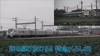 【JR阪和線】畑を駆け抜ける!!特急くろしお 289系(白浜行き)287系(新大阪行き)@新家~長滝