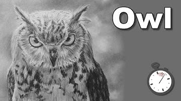 Realistic drawing tutorial - Birds / How to Draw an Owl Time Lapse
