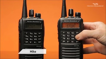 eVerge Stun and Revive