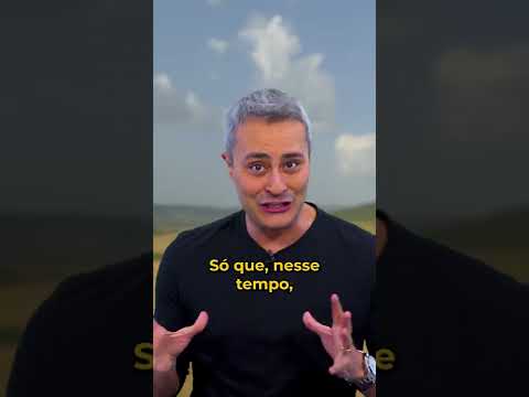 Animais que levaram