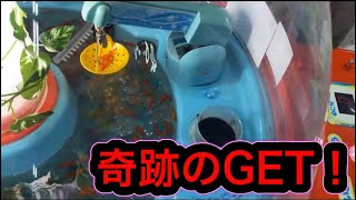 金魚をすくうUFOキャッチャーが面白すぎたwww