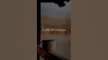 كل من عليها فان | قرآن كريم | حالات واتس اب #asmr #اكسبلور #المصحف #الرحمن  #foryou  #like
