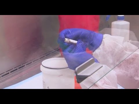 6 დაღუპული და 527 ინფიცირებული - კორონავისრუსით გარდაცვალების ყველაზე მეტი დღიური მაჩვენებელი