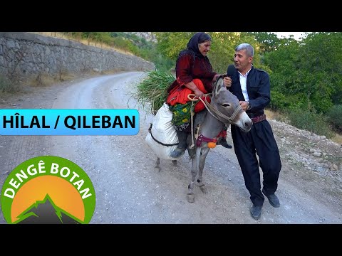 DENGÊ BOTAN - HÎLAL / QILEBAN (2022)