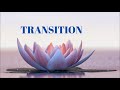 Jared Rand's Global Guided Meditation Call Replay (8/8/20) | Young Lightworkers Channel